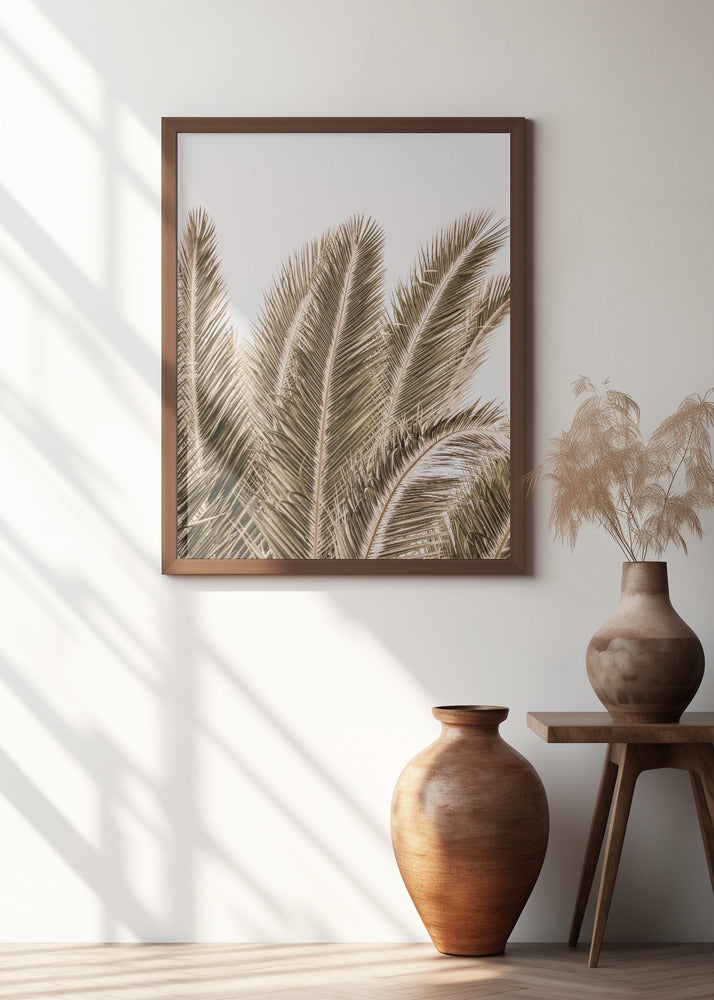 Desert Palm Poster