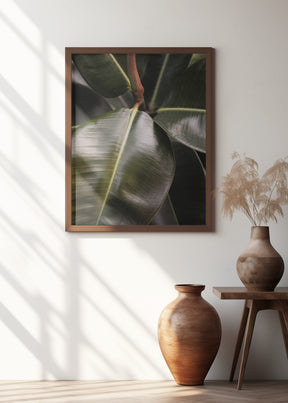 Ficus Bubu Poster