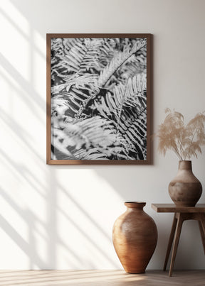 Forest Fern Poster