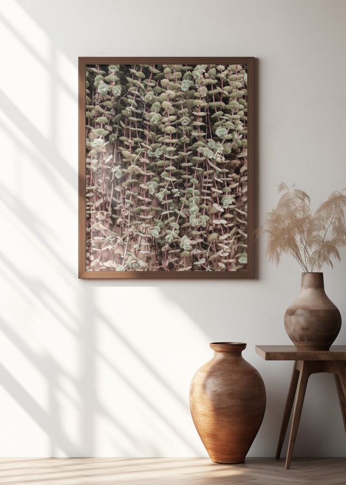 Hanging Garden Poster