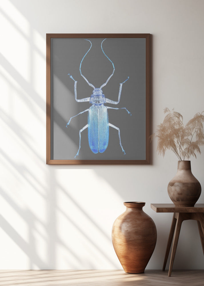 Insect Evolution Poster