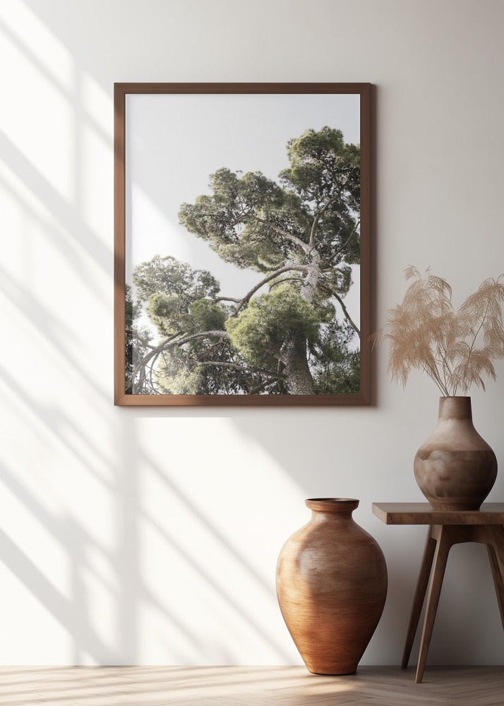 Japanese Garden 01 Poster