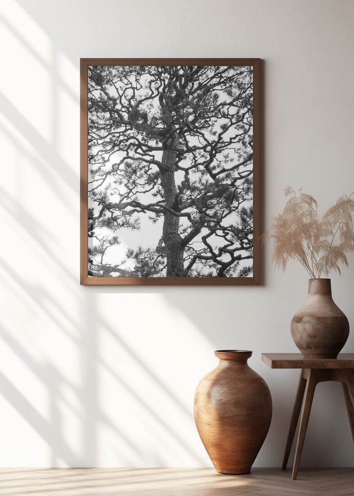 Japanese Garden 03 Poster