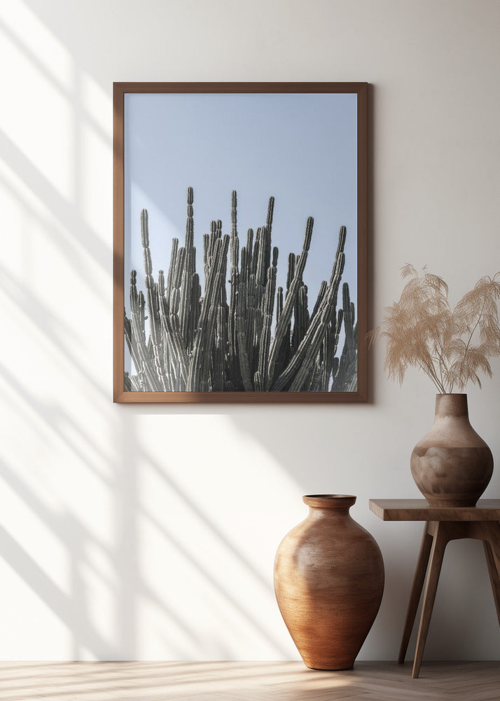 Kaktus Poster
