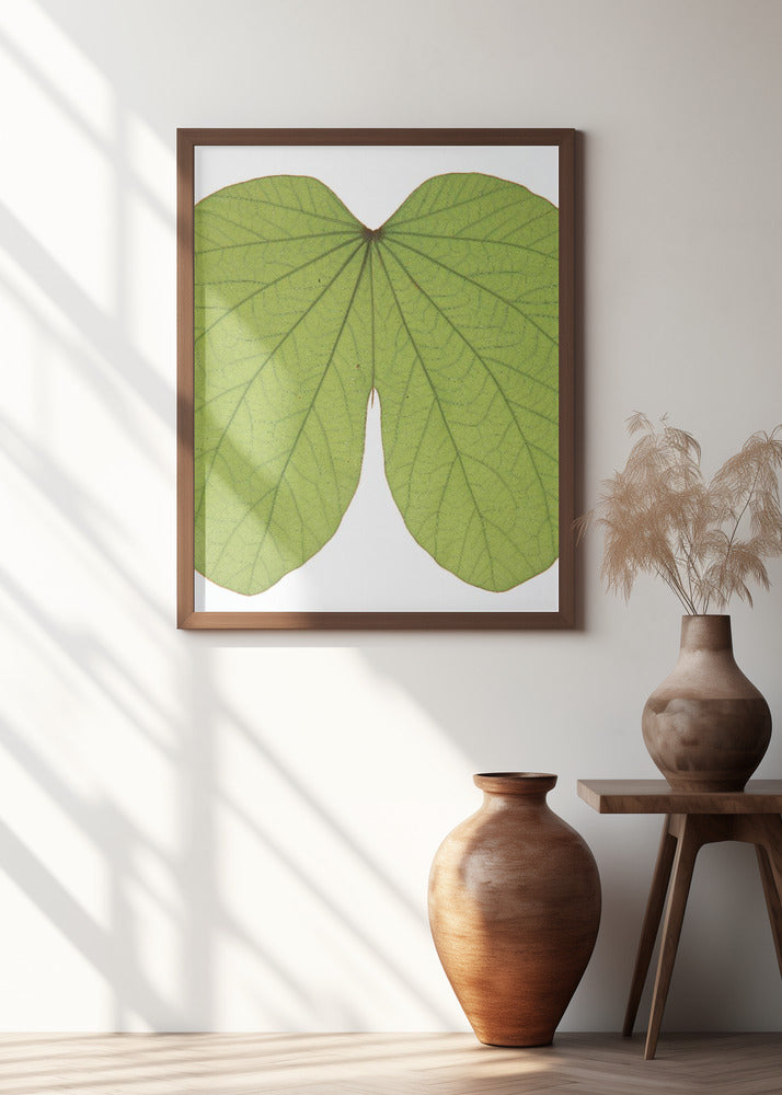 Leaf Butt Poster