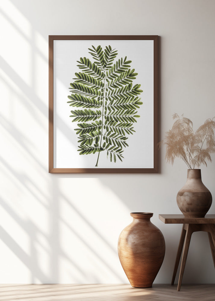 Leaf Study 02 Poster