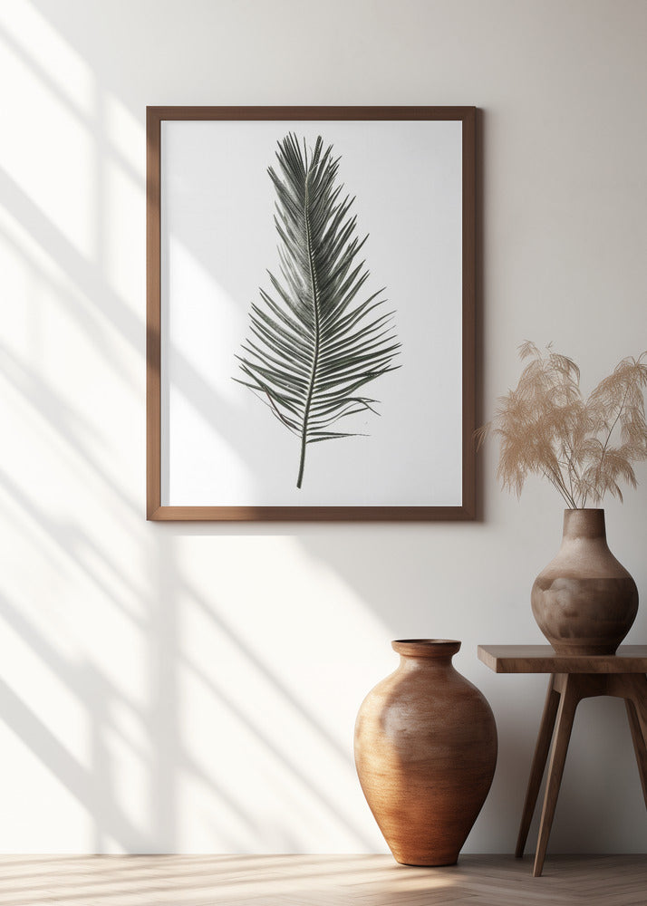 Leaf Study 03 Poster