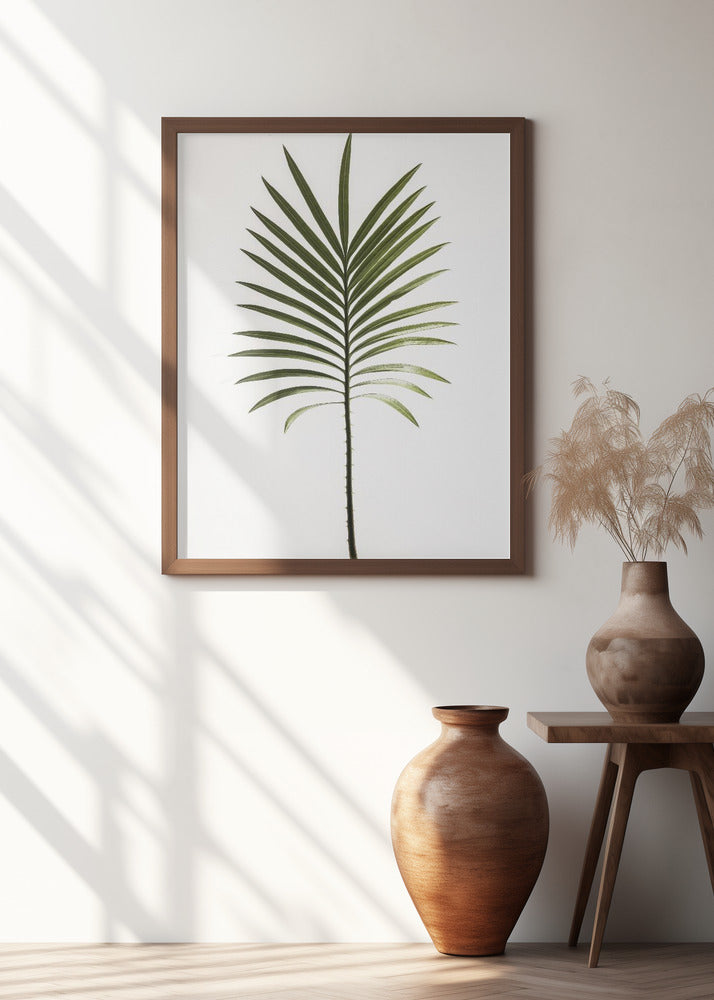 Leaf Study 04 Poster