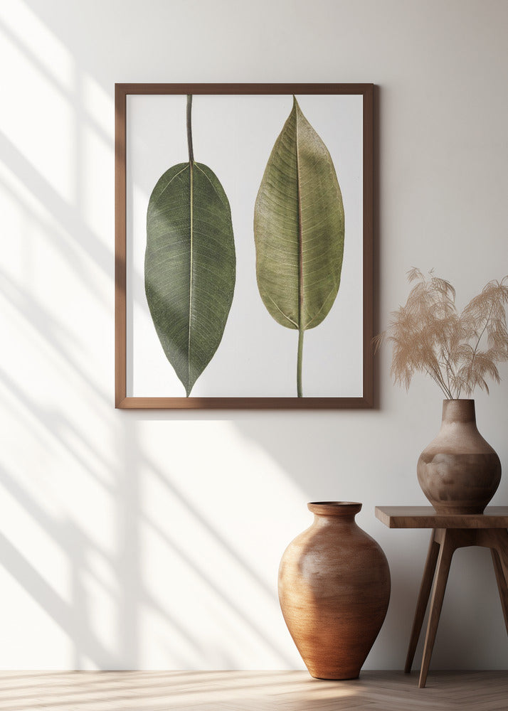 Leaf Study 05 Poster