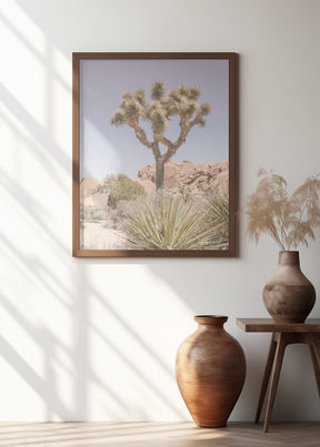 Mojave Desert Poster