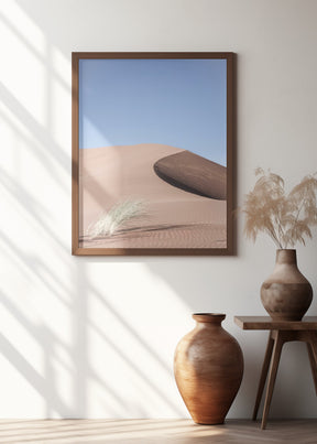 Namib Two Poster