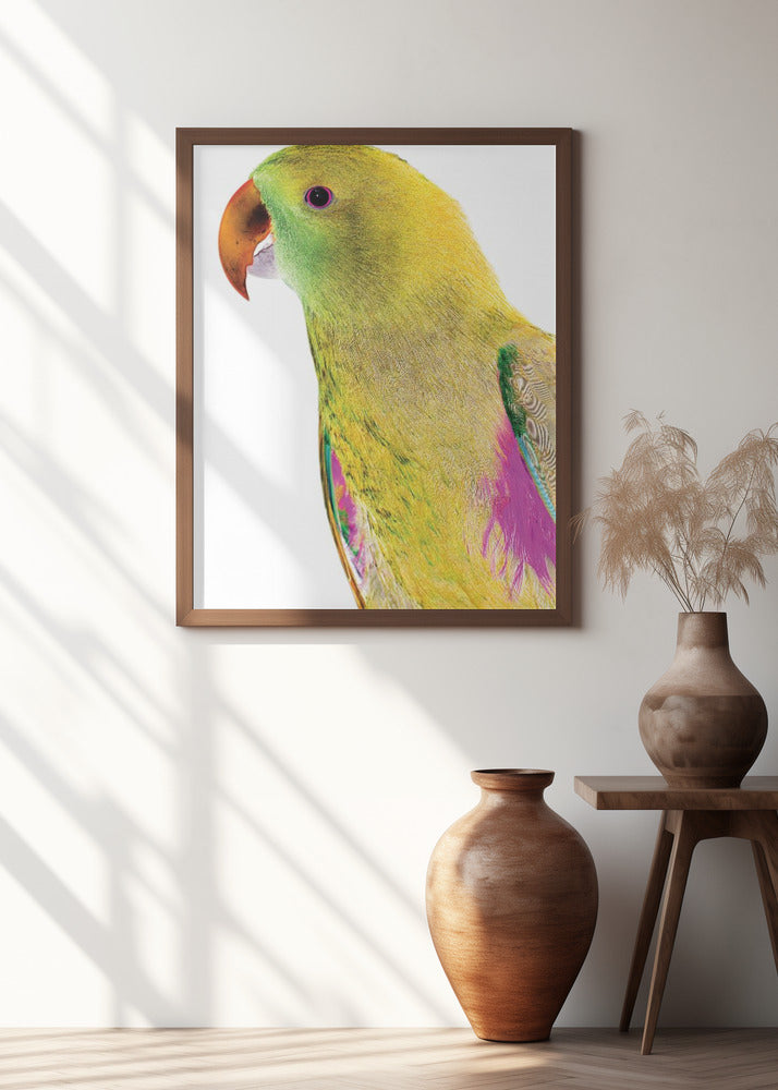 Polly Poster