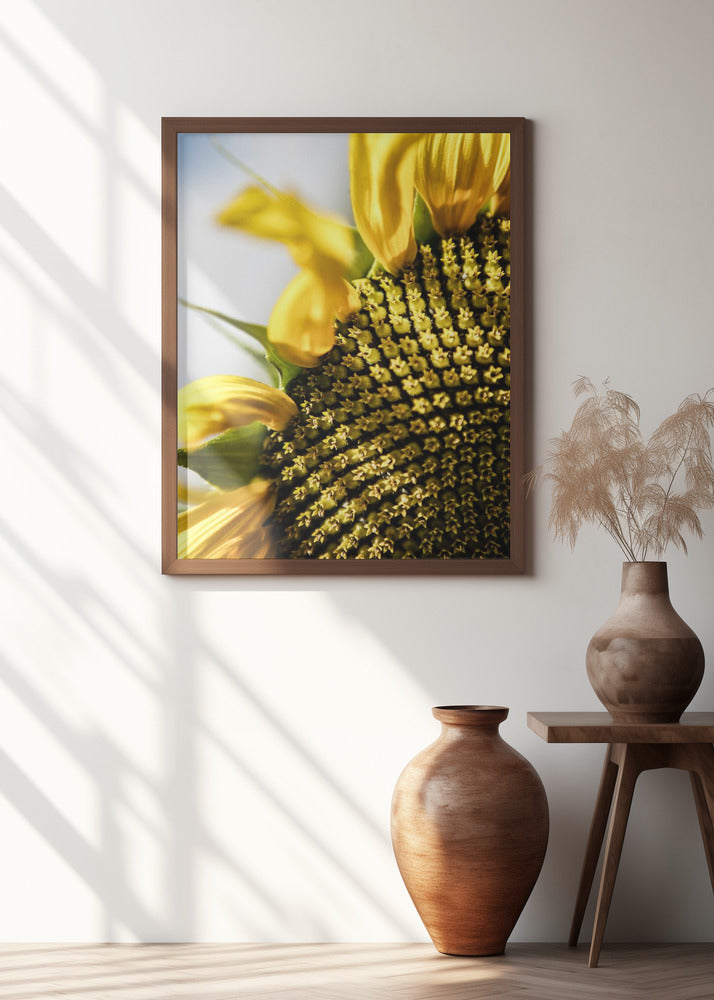 Sunflower Poster