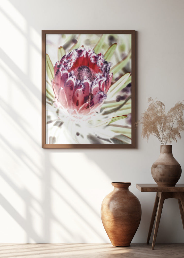 Wild Protea Poster