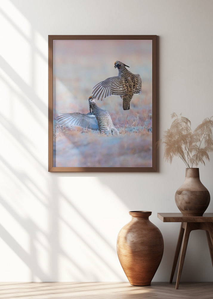 Greater Prairie Chicken-Morning Talking Poster