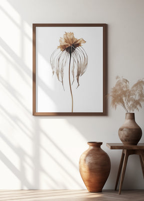 Dry Jelly Fish Flower Poster