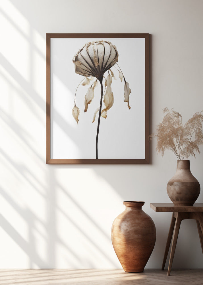 Dry Sea Shell Flower Poster