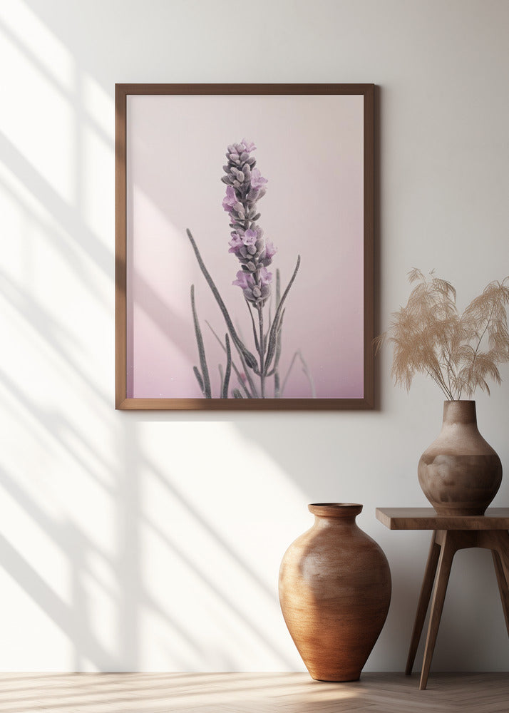 Pastel Lavender Poster