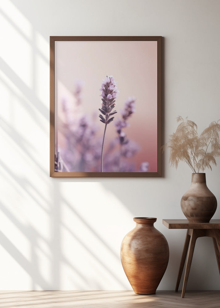 Lavender Detail Poster