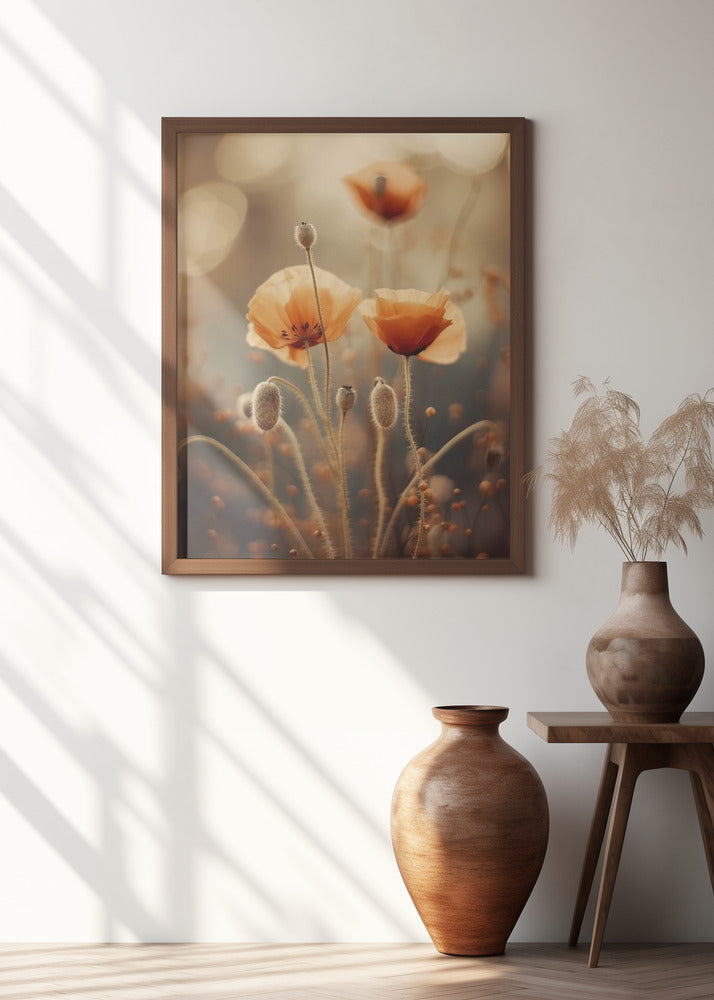 Poppy In Morning Sun Poster