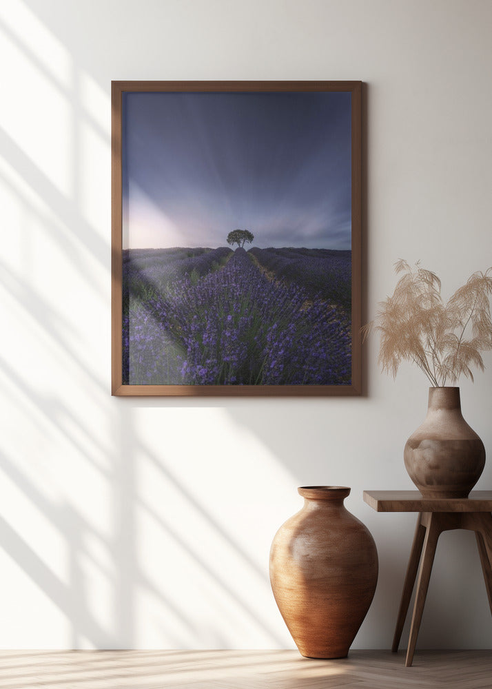 The tree and the lavender Poster