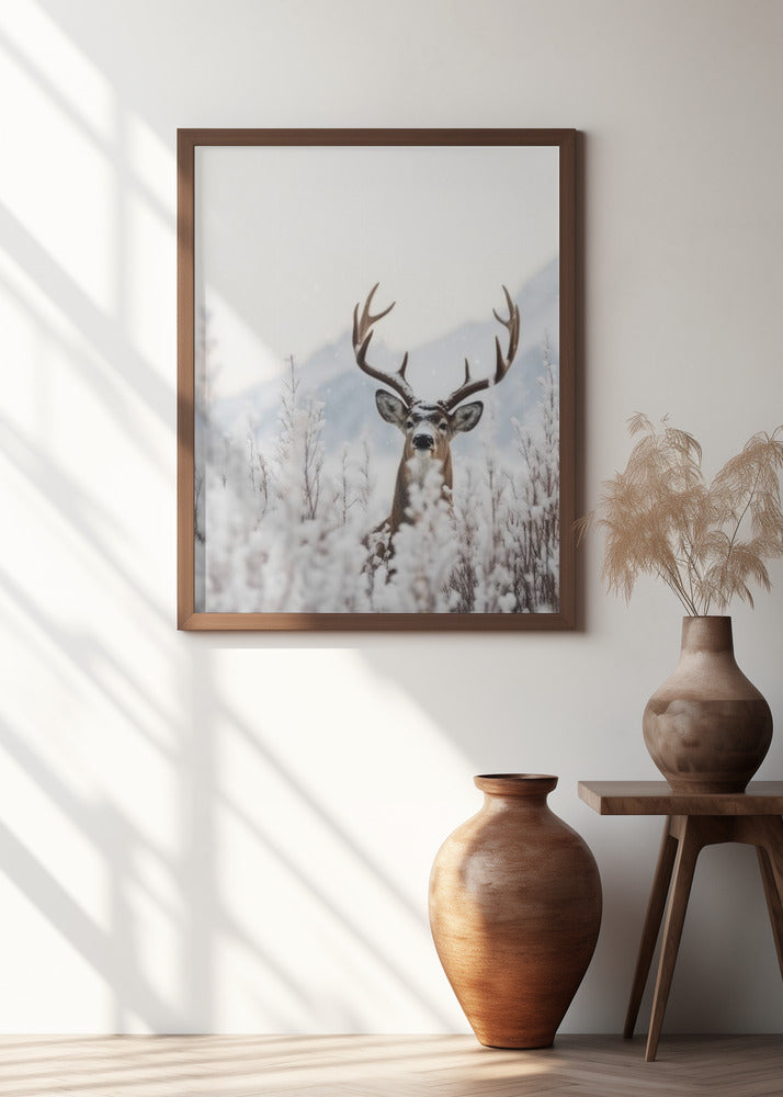 Curious Deer Poster