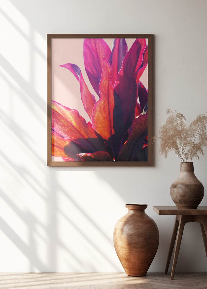 Fuchsia Leaves II Poster