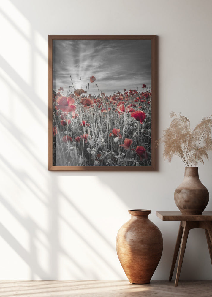 Gorgeous sunset in a poppy field | colorkey Poster