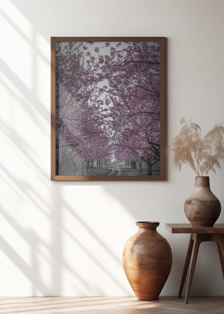 Amazing cherry blossom alley in pink Poster