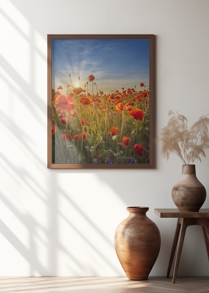 Gorgeous sunset in a poppy field Poster