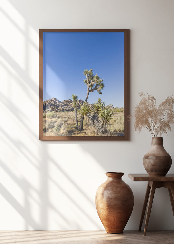 Idyllic Joshua Tree National Park Poster