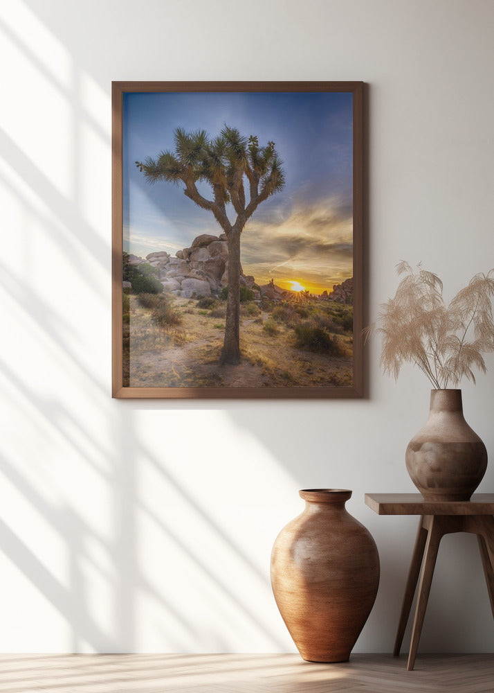 Charming sunset at Joshua Tree National Park Poster