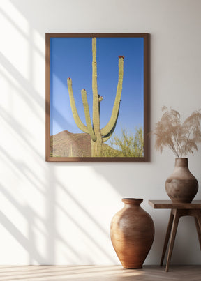 SAGUARO NATIONAL PARK Giant Saguaro Poster