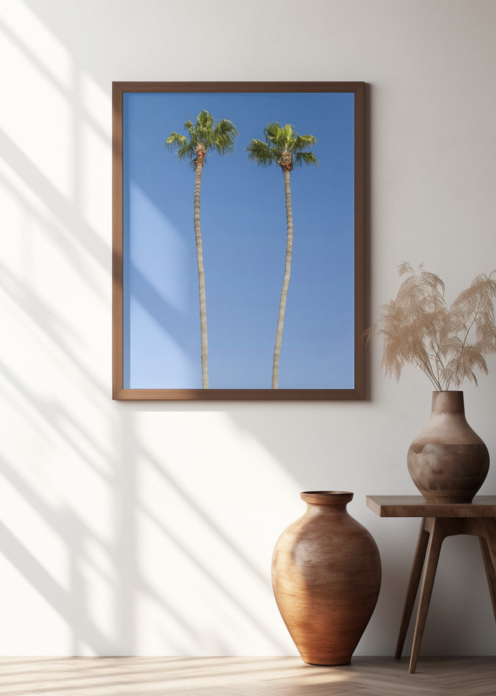 Idyllic Palm trees Poster