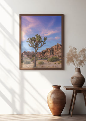 Joshua Tree Evening Atmosphere Poster