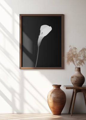 Calla | dark design Poster