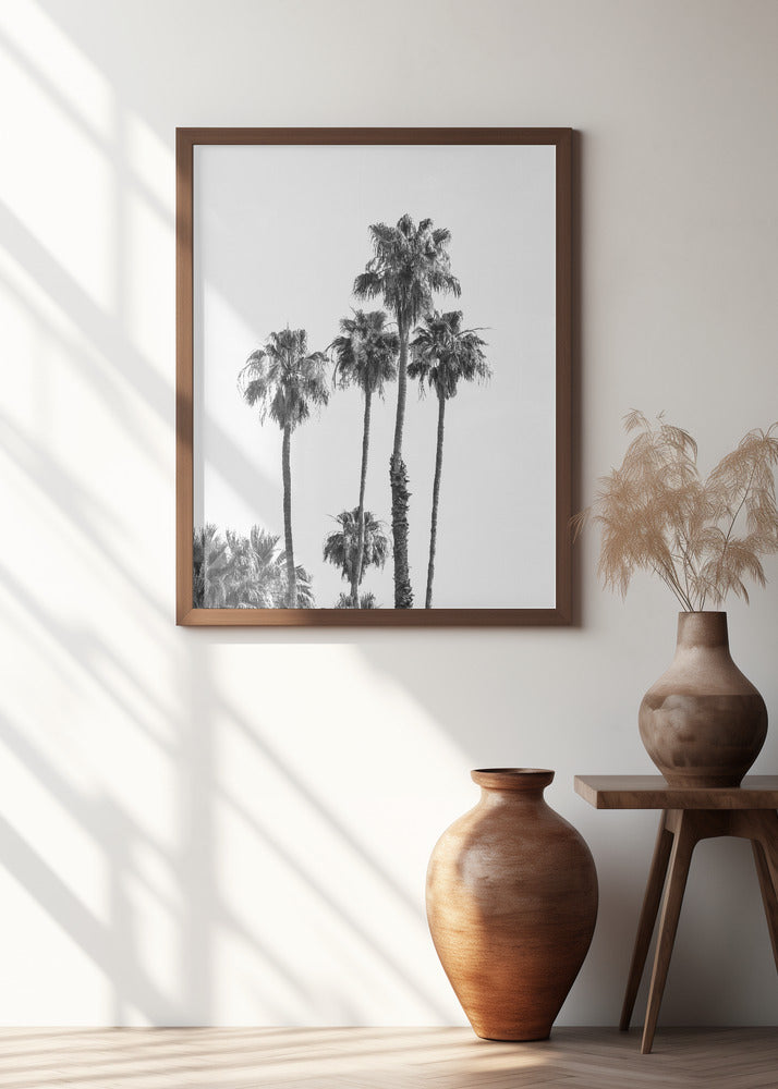 Palm trees | monochrome Poster