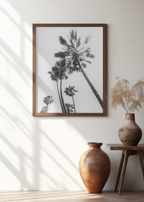 Palm trees in the sun | monochrome Poster