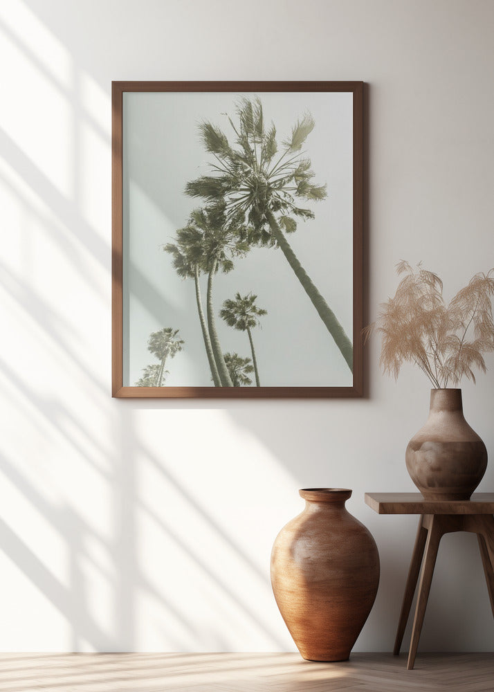 Vintage Palm Trees in the sun Poster