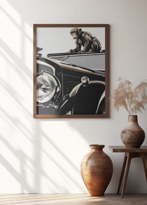 Monkey and the Bentley Poster