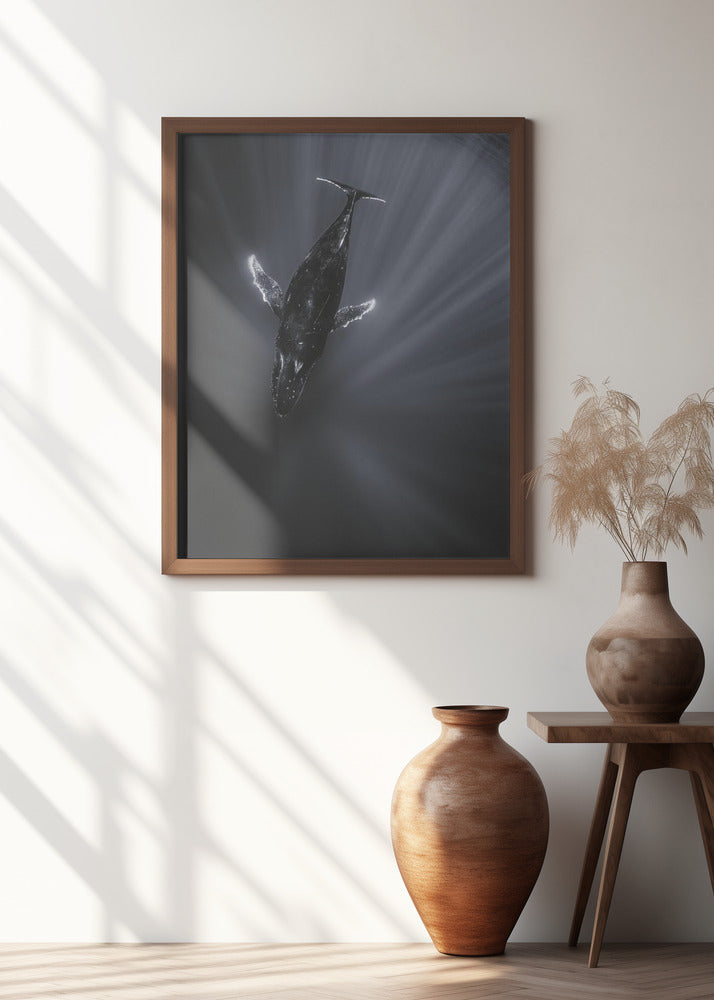 Light and Whale Poster