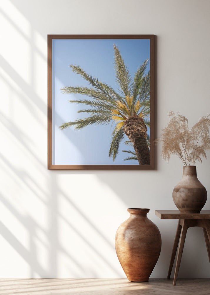 Vejer de La Frontera Palm Tree Poster