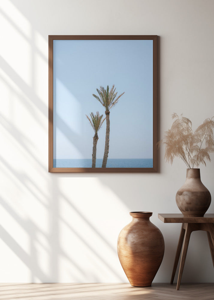 Moroccan Coast Palm Trees Poster