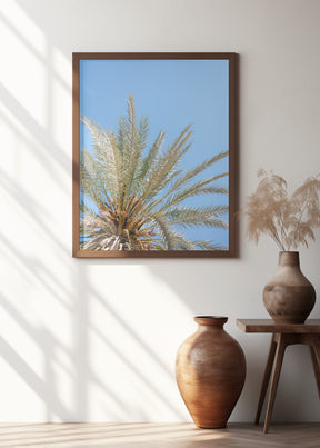 Moroccan Coast Palm Tree Poster