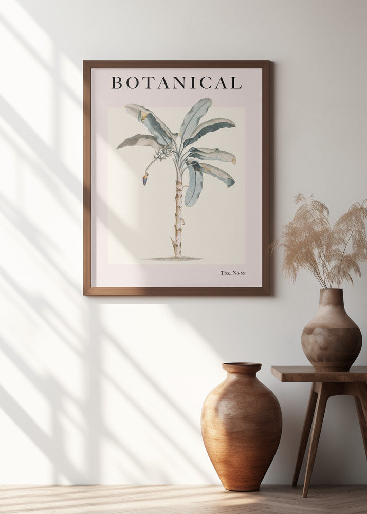 Botanicalno30 Ratioiso Poster