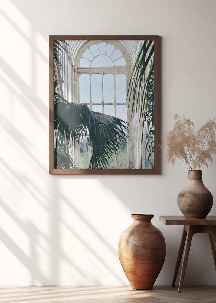 Palm House Windows Poster