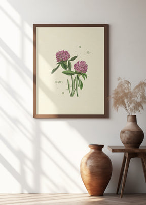 Red Clover Poster