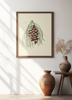 Maine White Pine Cone Copy Poster