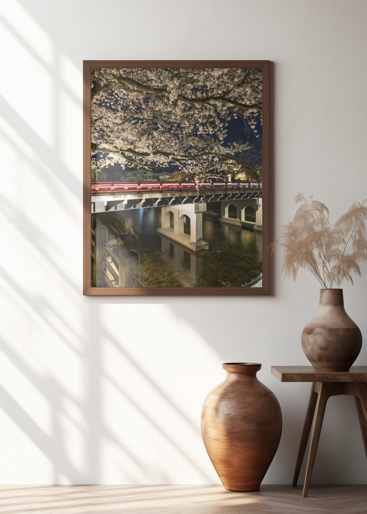 Charming Nakabashi Bridge in the evening Poster