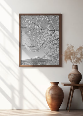 Charming view of Mount Fuji with cherry blossoms - monochrome Poster